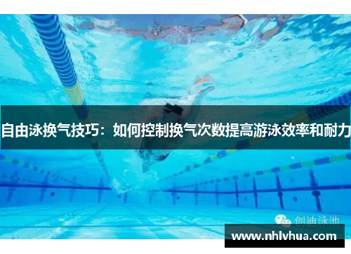 自由泳换气技巧:如何控制换气次数提高游泳效率和耐力